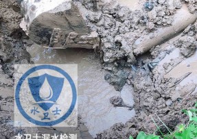 蛟河水管漏水检测公司5